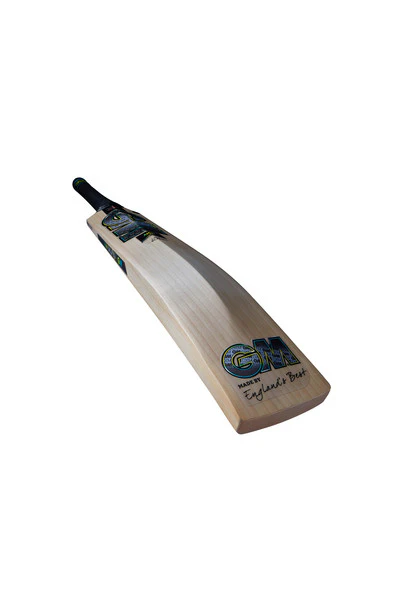GM AION 808 Cricket Bat 2025 - Image 3