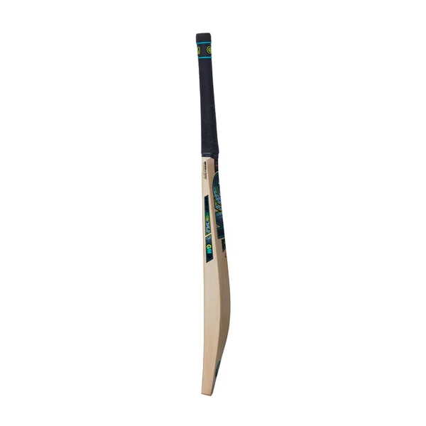 GM AION Original Cricket Bat 2025 - Image 4