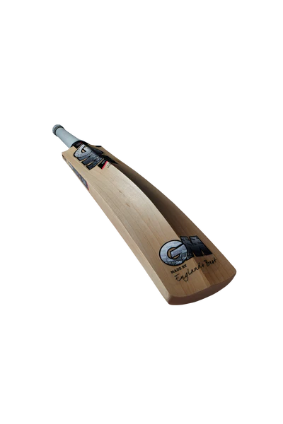 GM ICON Limited Edition Cricket Bat - Image 10