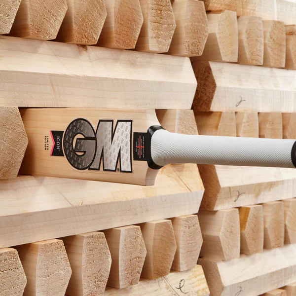 GM ICON Limited Edition Cricket Bat - Image 4