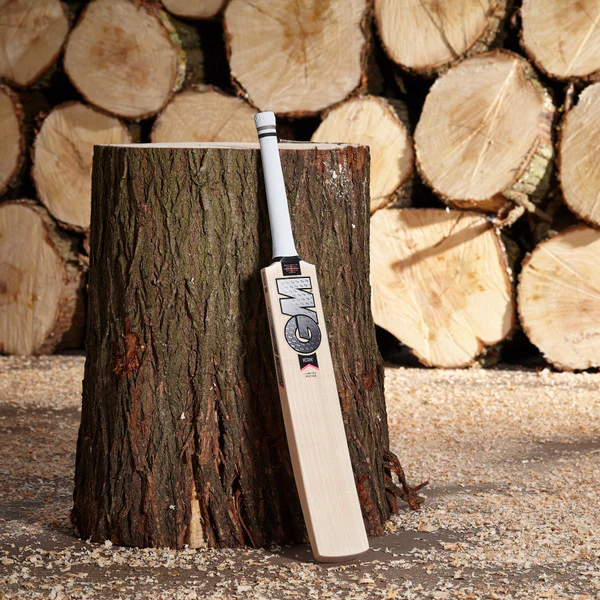 GM ICON Limited Edition Cricket Bat - Image 6