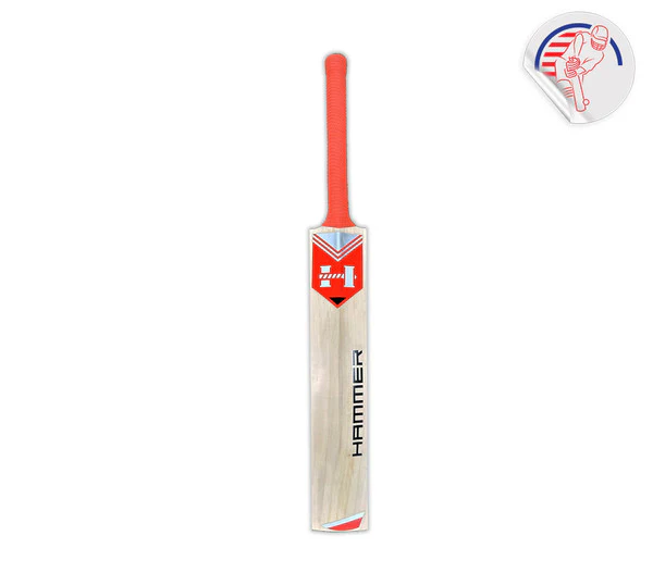 Hammer Steele Cricket Bat - (Kashmir Willow) - Image 3