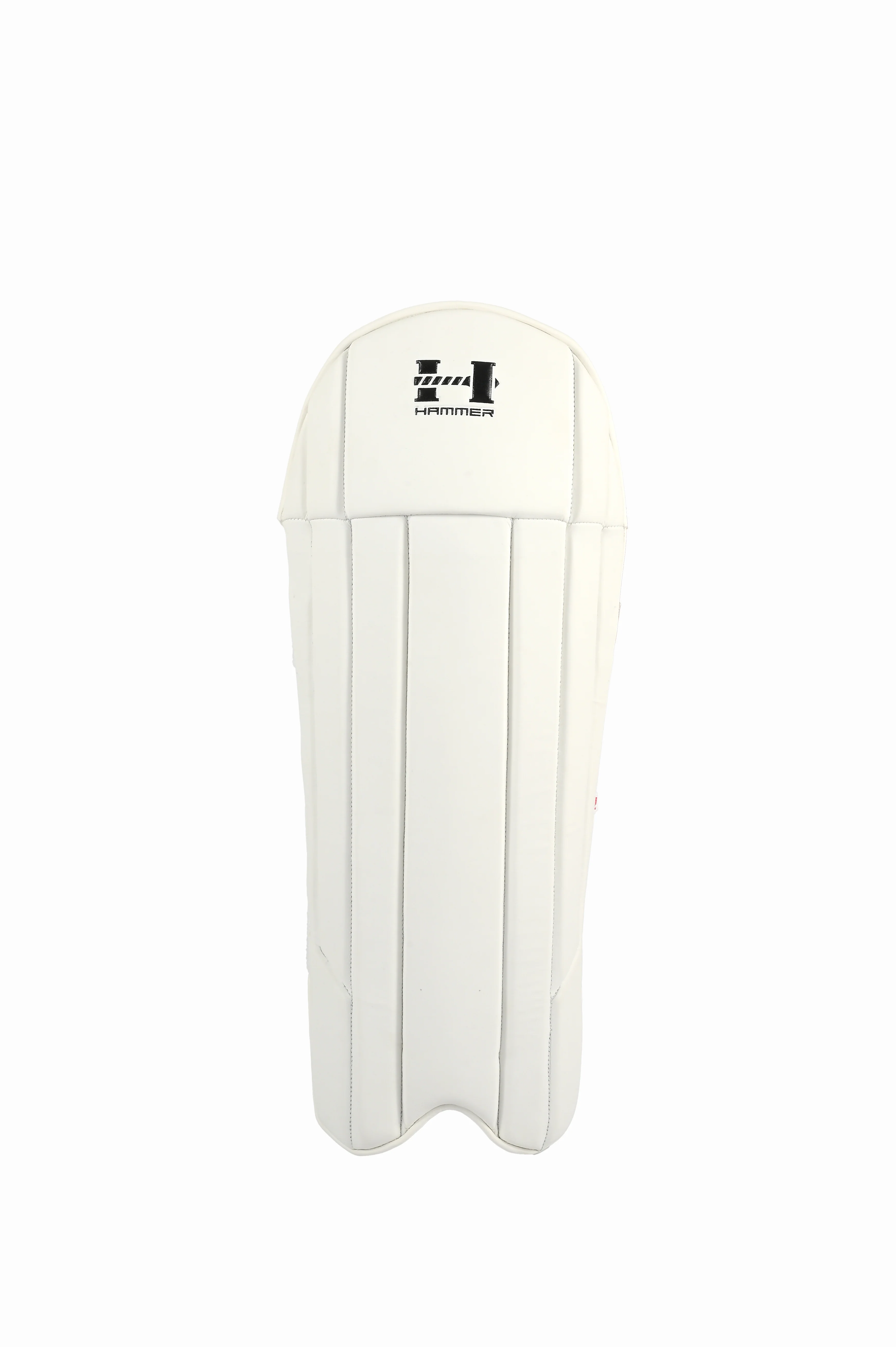 Hammer Black Edition Wicket keeping pads - WHITE