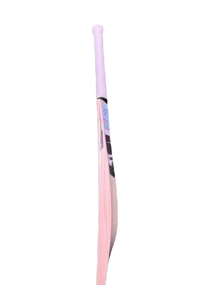 SS Klaasen Gladiator Junior Cricket Bat 2025 (Kashmir Willow) - Image 3