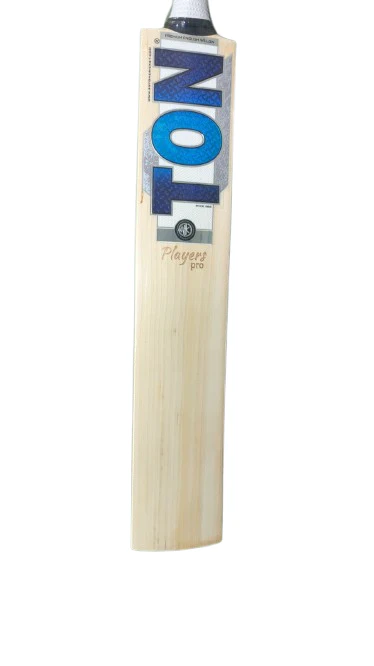 SS Dewald Brevis Player Pro Cricket Bat 2026 - Image 2