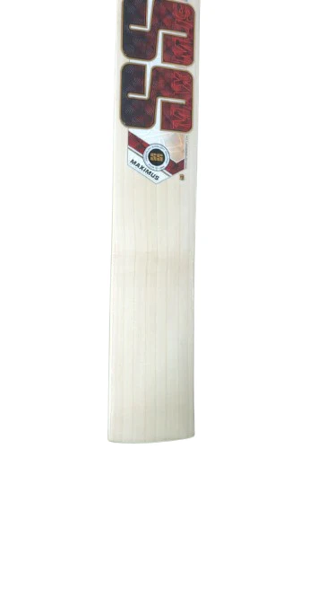 SS Maximus Cricket Bat 2026 - Image 2