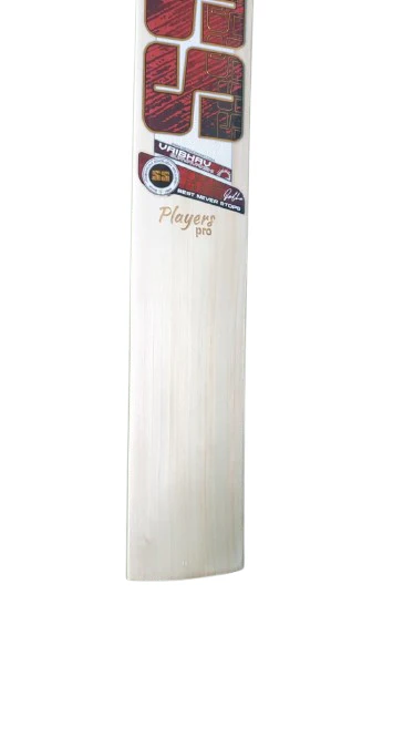SS Vaibhav Players Pro Cricket Bat 2026 - Image 2